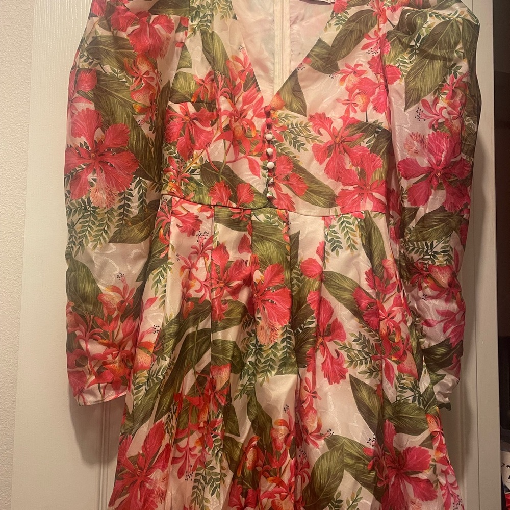 Amur Floral dress